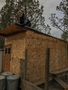 Photo of Chicken coop roof being fixed