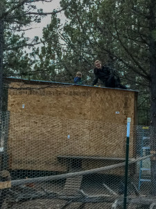 Photo of Chicken coop roof being inspected