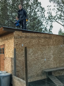 Photo of Chicken coop roof being fixed